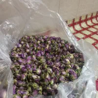 غنچه گل محمدی ارگانیک اعلا امسالی