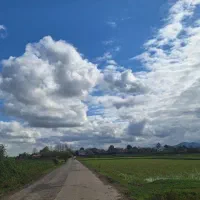 فروش زمین مسکونی سند دار|فروش زمین و ملک کلنگی|ماکلوان, |دیوار