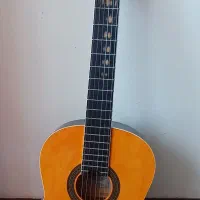 گیتار fiesta fst-200