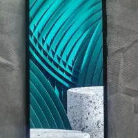 گوشی درحد