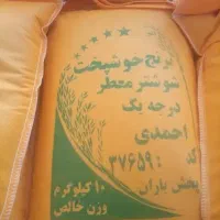 برنج عنبر بو شوشتر احمدی