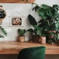 خدمات اداری و حقوقی وبیمه ای