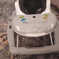 رورورک دلیجان