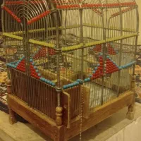 قفس شیک  تزیینی|لوازم جانبی حیوانات|بروجرد, |دیوار