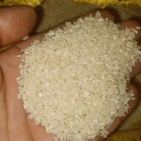 نیمدانه معطر یکدست تمیز خودم کشاورزم