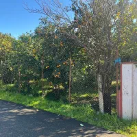 زمین-مسکونی-بر-آسفالت