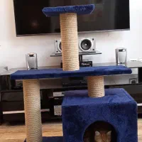 اسکرچر گربه|لوازم جانبی حیوانات|تهران, نظامی گنجوی (توانیر)|دیوار