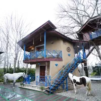 اجاره کلبه سویسی استخر روباز ابگرم