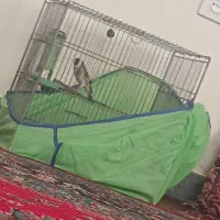 سهره دهن لر دهن ردی