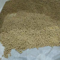 مرغ گوشتی خوراک  مرغ خروس خانگی محلی