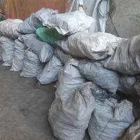 زغال کبابی  ،شاخه مچ دست