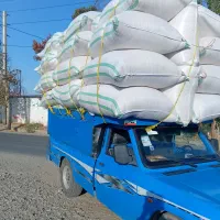 کاه درجه یک