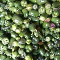 دلمه سبز|خوردنی و آشامیدنی|بهار, |دیوار