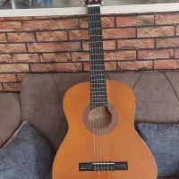 گیتار حرفه ای مدل اریا  اندونری درحداک