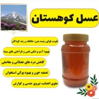 فروش ویژه عسل طبیعی عمده