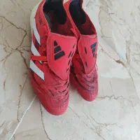 استوک پرداتور بلینگام|کیف، کفش، کمربند|نقده, |دیوار