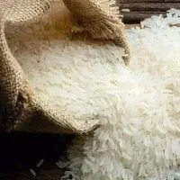 برنج و خرده برنج کامفیروزی