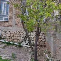 فروش خانه ویلایی