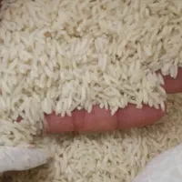 برنج سالم چغلوندی درجه یک خوش بوپخت