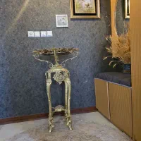 کنار سالنی نو هدیه اوردن