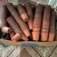 ۵ هزار عدد گلدان ژله ای سایز ۶ دست دوم