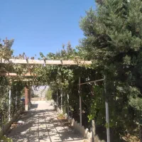 زمین باغ 500 متری زعفرانیه سهیلیه