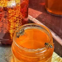 عسل ناب آذربایجان شرقی صددرصد خالص وبدون افزودنی