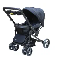 کالسکه دلیجان مدل بنیتا