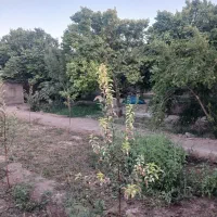 باغ مهریز خورمیز سفلی