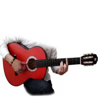 گیتار الماسه طرح سفارشی|گیتار، بیس، امپلیفایر|مشهد, آزادشهر|دیوار