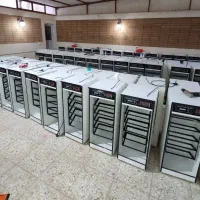 دوام بالا، قیمت رقابتی.دستگاه جوجه کشی