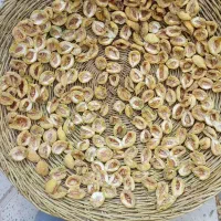 برگه هلو و جوز قند، توت خشک|خوردنی و آشامیدنی|تفرش, |دیوار