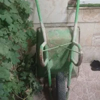 فرغون در حد