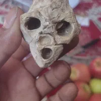 جمجمه استخوانی آدم کوتوله یافضایی چند هزارسال قد|کلکسیون اشیاء عتیقه|فسا, |دیوار