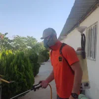 سمپاشی تخصصی سوسک و ساس با ضمانت کتبی|خدمات نظافت|کرج, برغان|دیوار