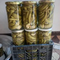 خیارشور|خوردنی و آشامیدنی|شیراز, حافظیه|دیوار