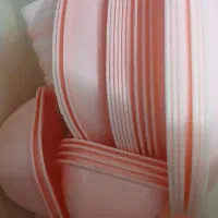 ظروف مسافرتی