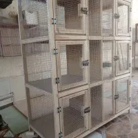 قفس کبوتر|لوازم جانبی حیوانات|خمینی‌شهر, |دیوار