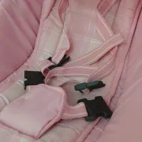 کالسکه، روروئک، کریر، وان|کالسکه و لوازم جانبی|تبریز, |دیوار