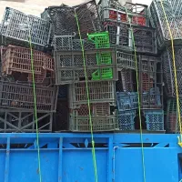 خریدسبد میوه  (بالای 50 کیلو)