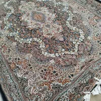 فرشاهمه درحدنو