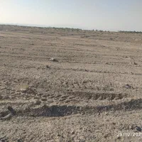 زمین|فروش زمین و ملک کلنگی|میرجاوه, |دیوار