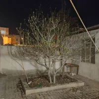 خانه ویلایی در شهرستان بویین زهرا