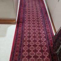 فرش فرهی|فرش|رشت, جهاد|دیوار