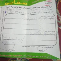 پژو۴۰۵اس ال ایکس|خودرو سواری و وانت|بردسکن, |دیوار