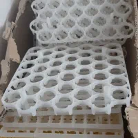 دستگاه جوجه کشی 1800 تایی|لوازم جانبی حیوانات|شاهرود, |دیوار