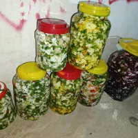 انواع ترشی خانگی