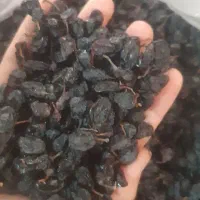 کیشمیش  مویز