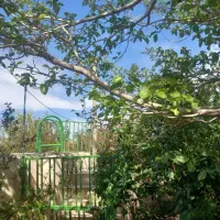 اجاره-ساعتی-توافقی