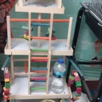 پارک بازی بزرگ طوطی سانان و پرندگان|لوازم جانبی حیوانات|تهران, شهرک آزادی|دیوار